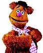 Fozzie-bear's Photo