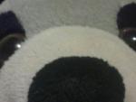 fluff's Photo