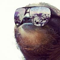 Entropy's Photo