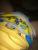oakley's Photo