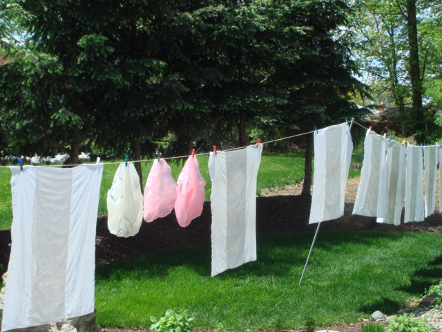 Laundry Day
Babies diapers and waterproof panties out to dry
