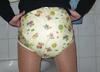 Filename=003~2.JPG
Filesize=87KiB
Dimensions=999x721
Date added=Jan 10, 2009 003~2.JPG