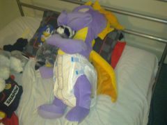 Spyro napping