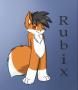 RubixFox