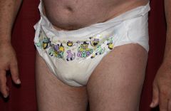 IMG 0162
