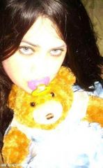 Teddy