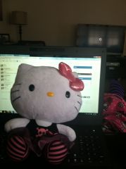 hello kitty