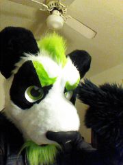 Fursuit head!