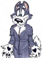 Husky