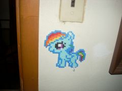 filly rainbow dash