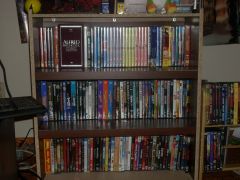 dvd's all orginized