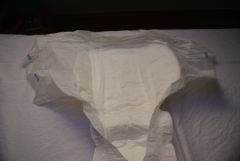 DSC03508