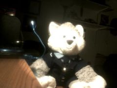 My Husky from Build-a-bear
