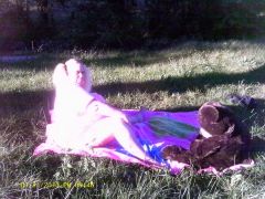 IMAG0208[1]