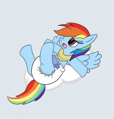 baby dashie