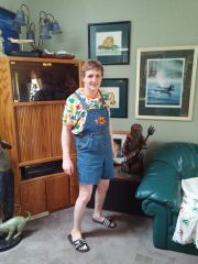 New Shortalls