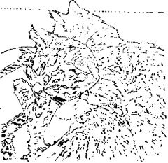 ashley 2b cats pointillist style