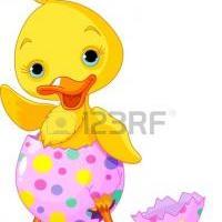 duckling