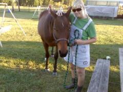Mand pony