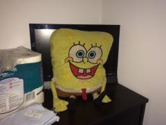 Sponge!