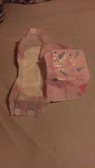 set up mydiaper princess