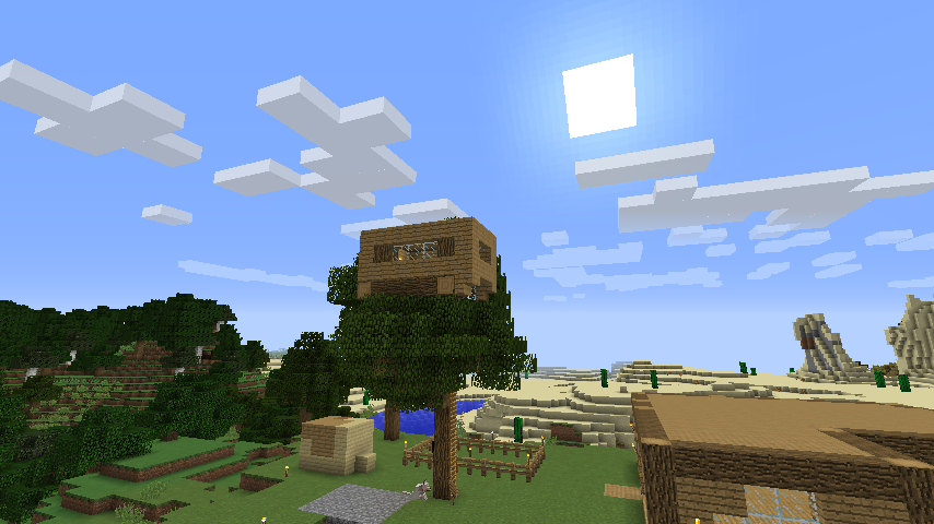 Minecraft server pics