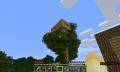 my tree house (outside view)