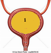 1126009818_masterbladder1.png.7e82ded0528cb7aaf4a0b09ccc2f6547.png