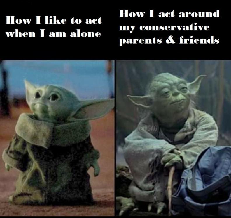 Yoda meme.jpg
