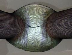 Fishnet 9.jpg