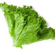 Spicey Lettuce