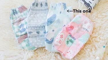 482207124_WinterDiapers.jpg.506ed3a2b841f8e5d1d80501c083c98c.jpg