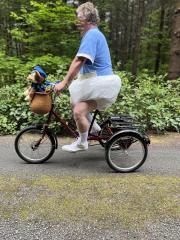 Bike16.jpg