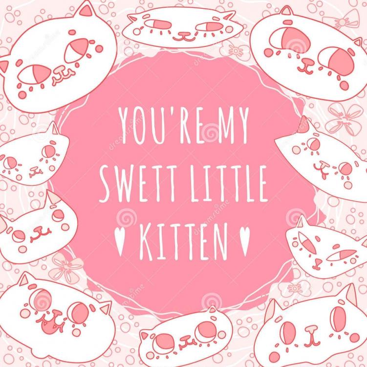 funny-doodle-cartoon-cats-pink-vector-background-card-you-re-my-little-kitten-50239280.thumb.jpg.afc20cd54317c2a27a67b6a3f01d53c7.jpg