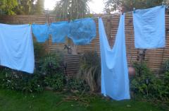 Washing blue3.jpg