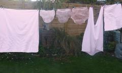 washing pink2.jpg