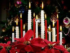 tree-and-candles-22.jpg