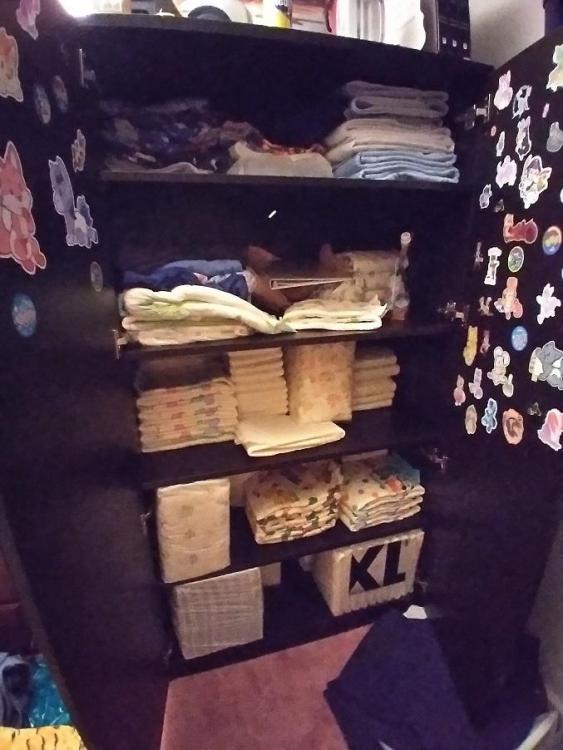 diaperlocker.jpg
