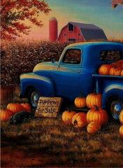 farm-pumpkins-23.jpg
