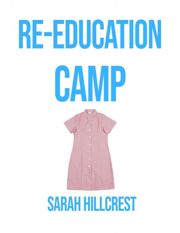 re-education camp.jpg