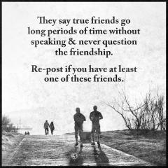 true-friends-2023.jpg