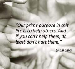 prime-purpose-help-others-24.jpg