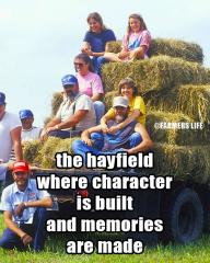 hayfeild-memories-24.jpg