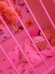 in crib 2.jpg