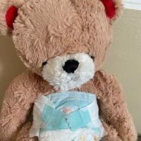 BabyBear85