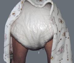 double diapered 2.jpg