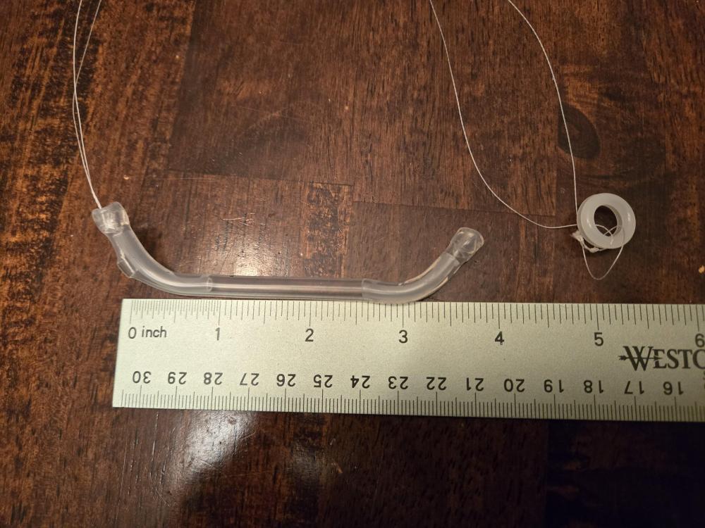 stent.jpg
