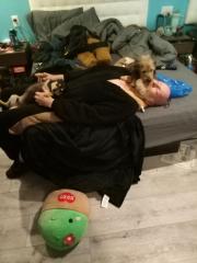 IMG_20250128_140801413_072336.jpg