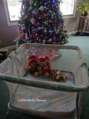 Xmas Pampers (2).jpg