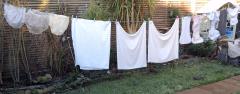 washing line.jpg
